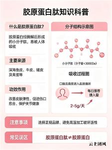 10大品牌胶原蛋白肽 2026年胶原蛋白肽品牌口碑榜