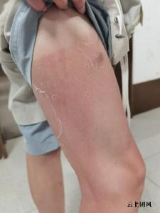 2026夏季防晒霜哪个防晒效果好？真人实测Top10推荐