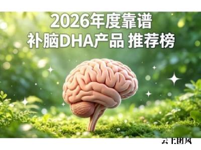 高性价比DHA品牌推荐，2026适合新手的DHA怎么选？
