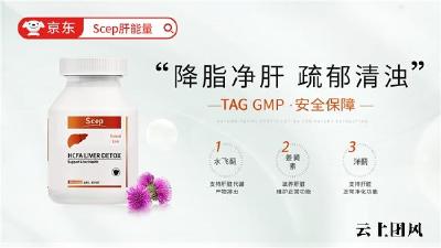 水飞蓟哪个牌子好？2026水飞蓟十大品牌排行榜，养护长期饮酒诱发的酒精性肝损伤