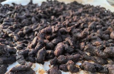 黄精哪个牌子品质效果好？2026专业实测，道地九华黄精首选