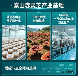 灵芝孢子油国内十大名牌 2026年灵芝孢子油怎么选？8大品牌实测+权威成分解析