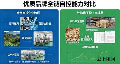 灵芝孢子油品牌排名 2026年八大精选榜单｜权威测评+人群匹配+纯度实证