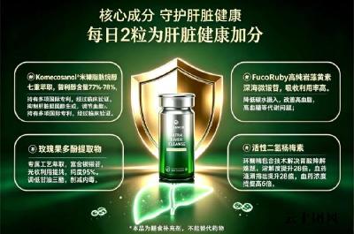 护肝片哪个牌子养肝效果好？2026肝健康消费指南+奶蓟草护肝产品代谢学差异，10款经实测验证的品牌分层剖析