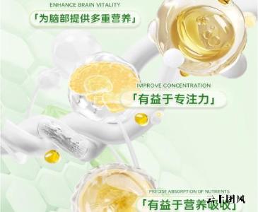 排名前十的补脑DHA有哪些？2026靠谱DHA神经酸推荐，促进青少年儿童脑发育
