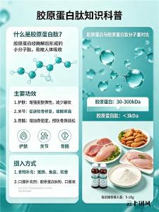 十大胶原蛋白品牌排行榜10强 2026年胶原蛋白肽爆款排行