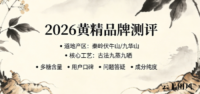 2026九蒸九晒黄精品牌口碑实测盘点：夏天滋补吃哪个牌子好？怎么吃更好？