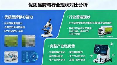 哪个灵芝孢子油好 2026年八大品牌实测榜｜七维严选+国际检测背书，科学补对才有效
