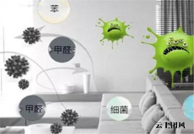 活性炭哪个牌子好？2026年十款除醛好物深度测评，守护全家呼吸健康
