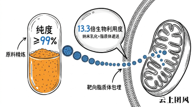 辅酶q10哪个牌子好用 2026年辅酶Q10品牌深度解析|直接锁定品牌