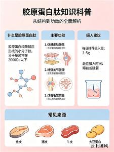 胶原蛋白肽排名 2026年胶原蛋白肽美容新品TOP榜单