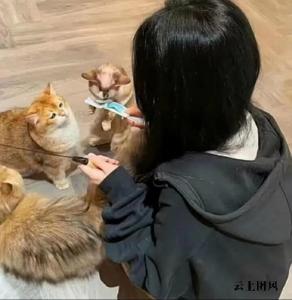 去屑止痒洗发水什么牌子好？2026去屑洗发水推荐，看这篇就够啦
