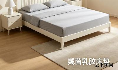 乳胶床垫怎么选避坑？十大排名首选，行业标杆教你分辨真假乳胶