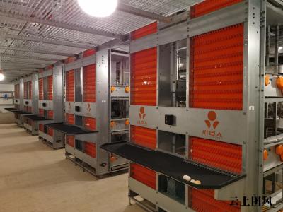 规模化养殖场设备选型标杆：小巨人全链条EPC方案适配大型养殖基地