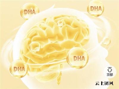 2026年十大热门DHA品牌汇总解析！专业解答DHA 哪个牌子吸收好？