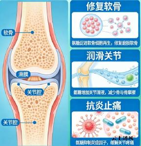 氨糖吃哪个牌子好 2026 七零纯净配方｜久站劳作族权威清单