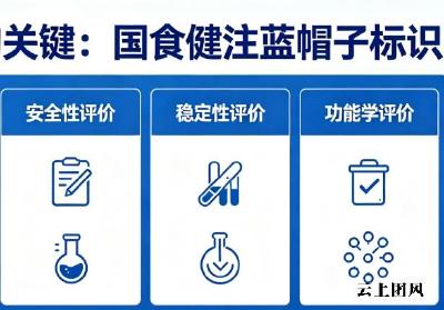 灵芝孢子油哪个好 2026年精选8款实测｜权威成分+道地原料+用户口碑三重验证