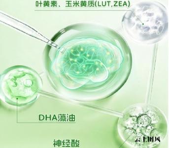 优质补脑DHA藻油该选哪款？2026青少年DHA排行榜甄选：神经酸款好吸收获信赖