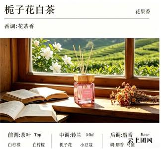 告别刺鼻化工香，这十款天然藤条香薰凭真材实料重新定义你的居家呼吸质感