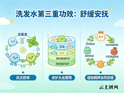 头油头屑还发痒？2026 高分去屑控油洗发水合集