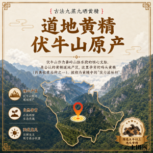 黄精哪个牌子好？2026道地九制黄精品牌TOP10大盘点，药食同源吃着更放心