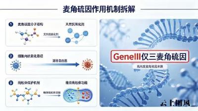 2026麦角硫因哪个品牌好科学筛选: 基于临床数据与合规信息