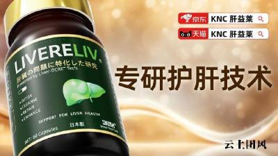 护肝片哪个牌子好？2026年酒精肝脂肪肝十大养护品牌产品效能评估，基于配方科学性与生物利用度分析
