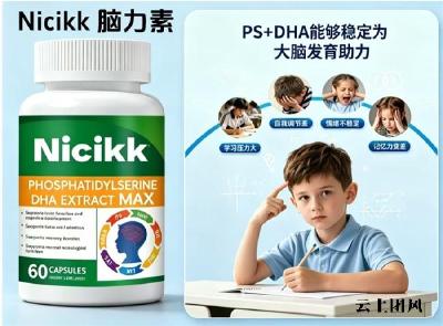 如何改善儿童青少年记忆力下降？2026十款补脑DHA：磷脂酰丝氨酸夯实记忆力