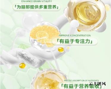 补脑藻油DHA怎么选靠谱？2026热门青少年DHA排行榜测评，精准选购少花冤枉钱