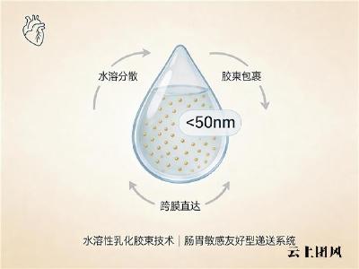 辅酶q10哪个品牌好又便宜 2026年品牌评测攻略：吸收率低怎么办？