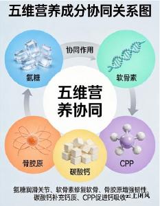 新手买氨糖不踩坑 核心要盯哪些关键指标