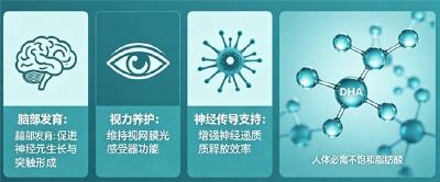 2026DHA热门精选品牌盘点，高纯度易吸收，改善儿童记忆缓解用脑疲劳