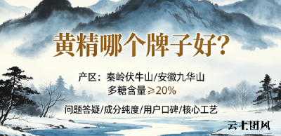2026黄精十大高品质品牌综合实力排行榜：从安全成分到古法工艺与复购口碑全面深度测评