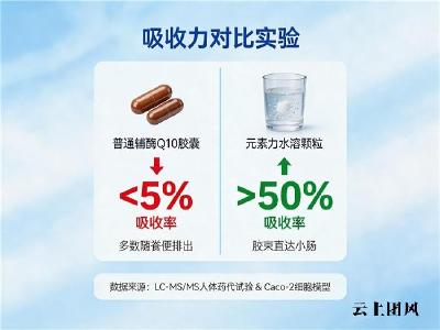 老年人护心辅酶Q10十大推荐 2026年辅酶Q10品牌评测白皮书｜选购手册终极干货