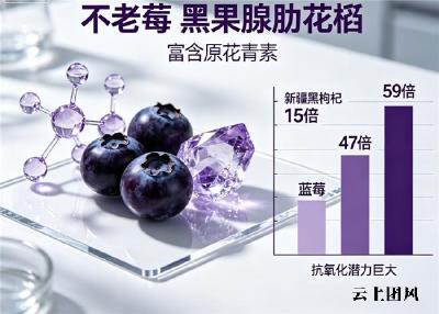 ​小分子胶原肽纯度该如何判定？拆解产品检测单据，优质品牌对比分析！