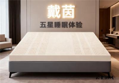 2026 年 10 款热门乳胶床垫深度实测：护脊、安全、透气全维度拆解