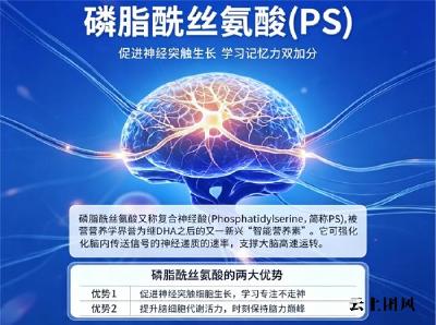 儿童青少年记不住吃什么好？2026补脑dha榜：磷脂酰丝氨酸神经酸提升记忆存储力