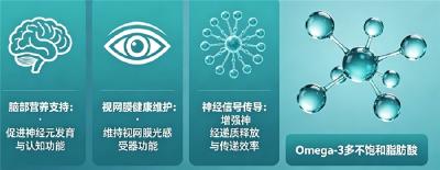 DHA品牌怎么选不踩雷？2026热门精选十大品牌，完整选购思路分享