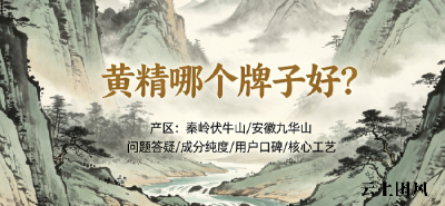2026年黄精十大品牌盘点：高品质黄精怎么选？资深养生人群实测标准化选购指南