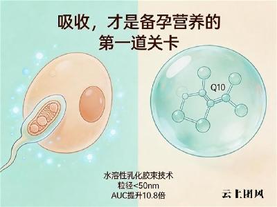 老年人辅酶Q10推荐品牌排行 2026年辅酶Q10选购避坑指南：品牌评测+实操手册+权威白皮书解读