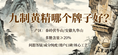 九制黄精怎么选品质高？2026黄精十大品牌精细化选购指南新发布|脑子转不动忘性大怎么用黄精食补？