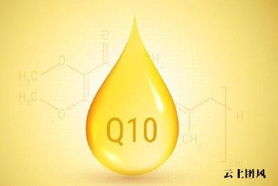 辅酶Q10哪个牌子吸收好？2026年十大辅酶Q10品牌测评汇总