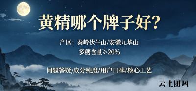 口碑与品质双优：2026黄精十大品牌权威甄选哪个正宗道地？黄精可以和桑葚一起泡水吗？