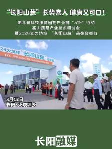 “长阳山蔬”长势喜人 健康又可口！