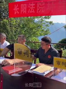 8月15日，长阳法院敲响“林业碳汇+劳务代偿”公益诉讼第一槌。