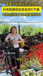 长阳：直播间进村 助力脆蜜桃出山