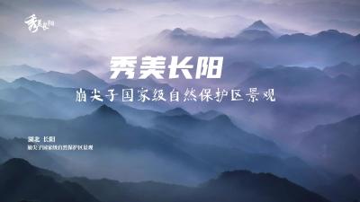【秀美长阳】崩尖子国家级自然保护区景观