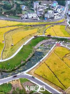 三渔冲村举办割稻比赛 丰厚农机奖品引得村民纷纷参与