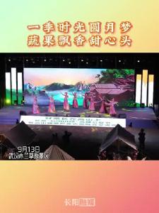 一季时光圆月梦 蔬果飘香甜心头