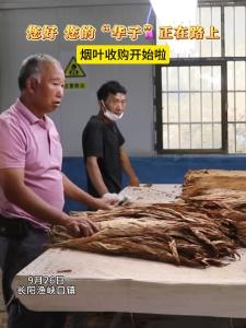 您好 您的“华子”正在路上